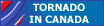 Tornado Flare Systems (Canada)